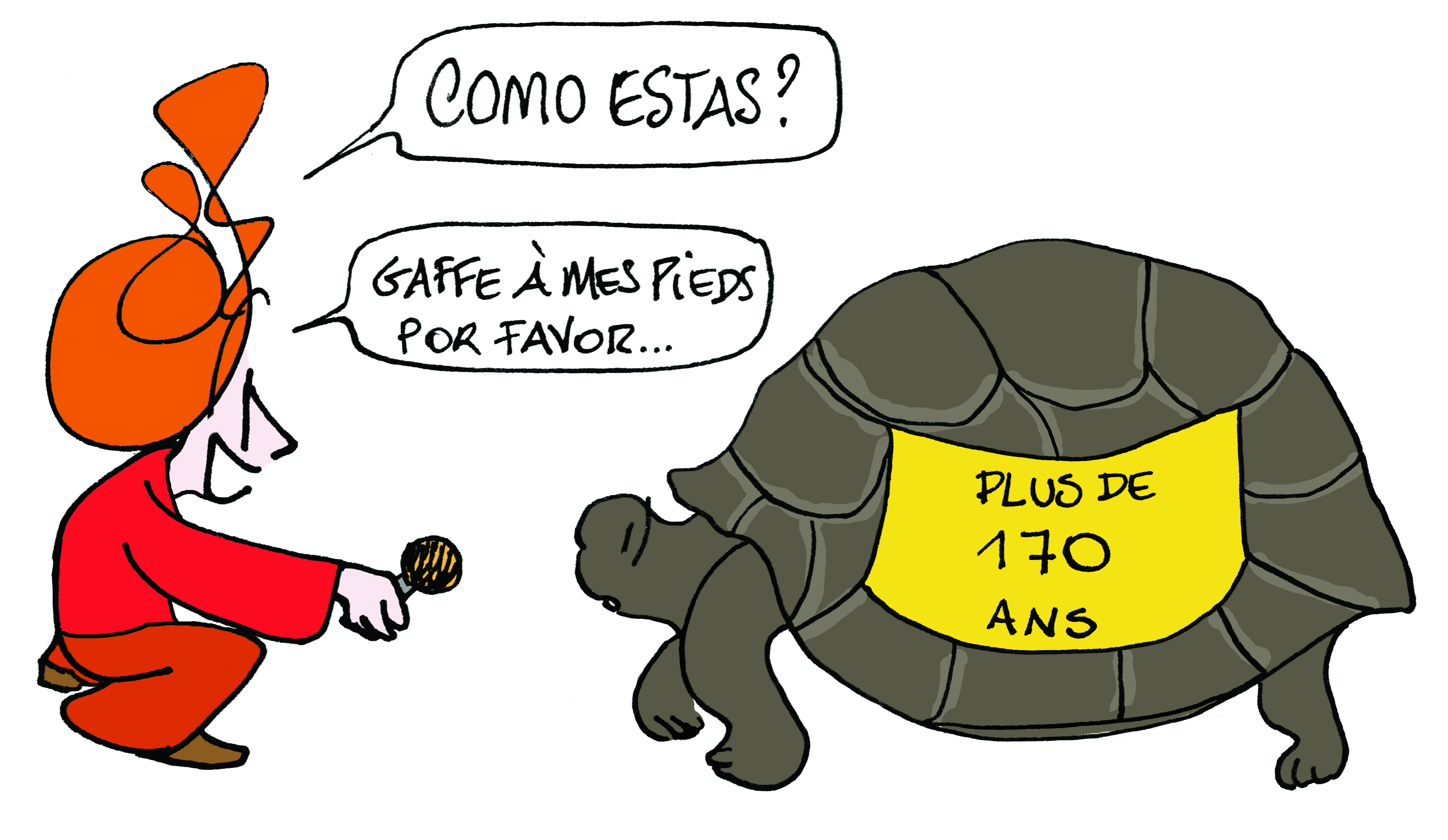 vignette tortue immortalite mep 2.jpg